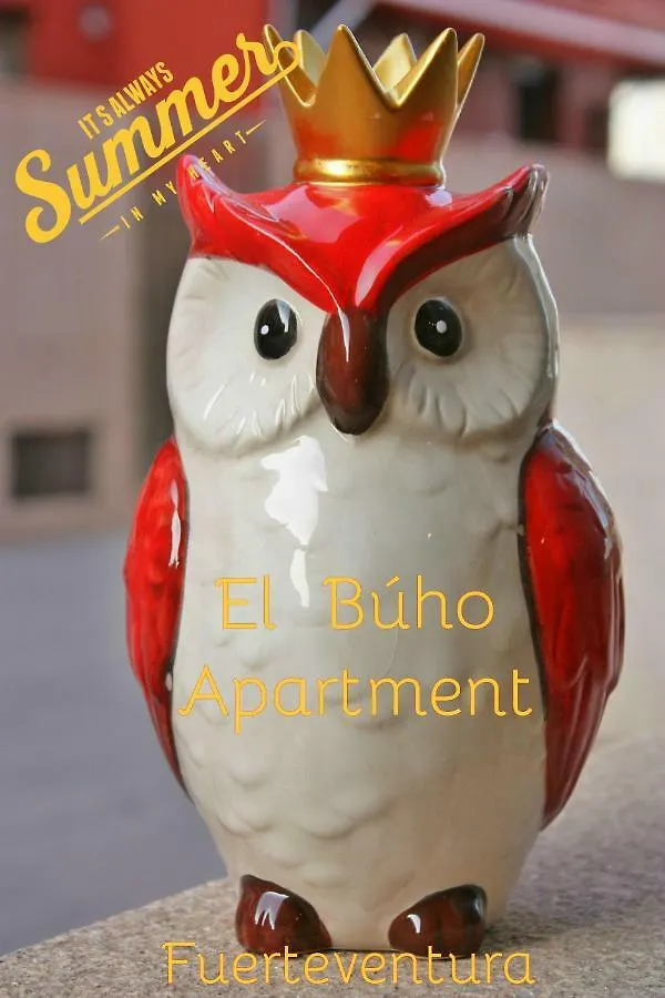 El Buho Apartment Wi-Fi Puerto del Rosario